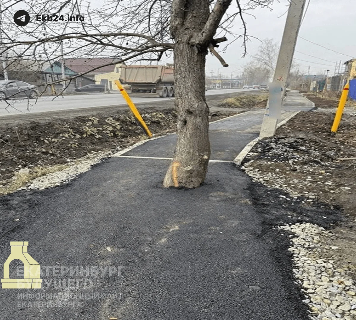 «Замуровали демоны»: дорожники закатали в&nbsp;асфальт дерево при&nbsp;ремонте тротуара