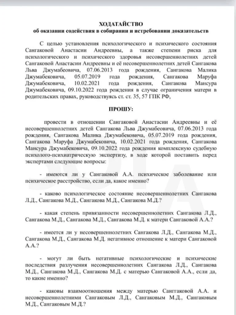 Органы опеки несколько лет&nbsp;давят на&nbsp;многодетную мать