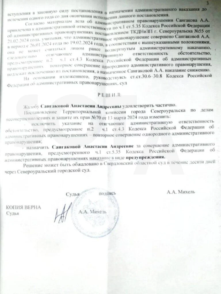 Органы опеки несколько лет&nbsp;давят на&nbsp;многодетную мать