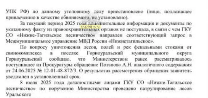Виновных в&nbsp;вырубке леса в&nbsp;Нижнем Тагиле не&nbsp;нашли
