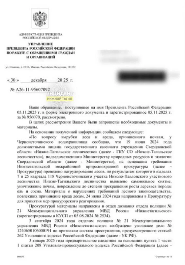 Виновных в&nbsp;вырубке леса в&nbsp;Нижнем Тагиле не&nbsp;нашли