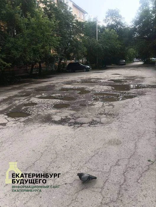 Власти пообещали починить в&nbsp;этом году 17&nbsp;дорог за&nbsp;2&nbsp;миллиарда рублей