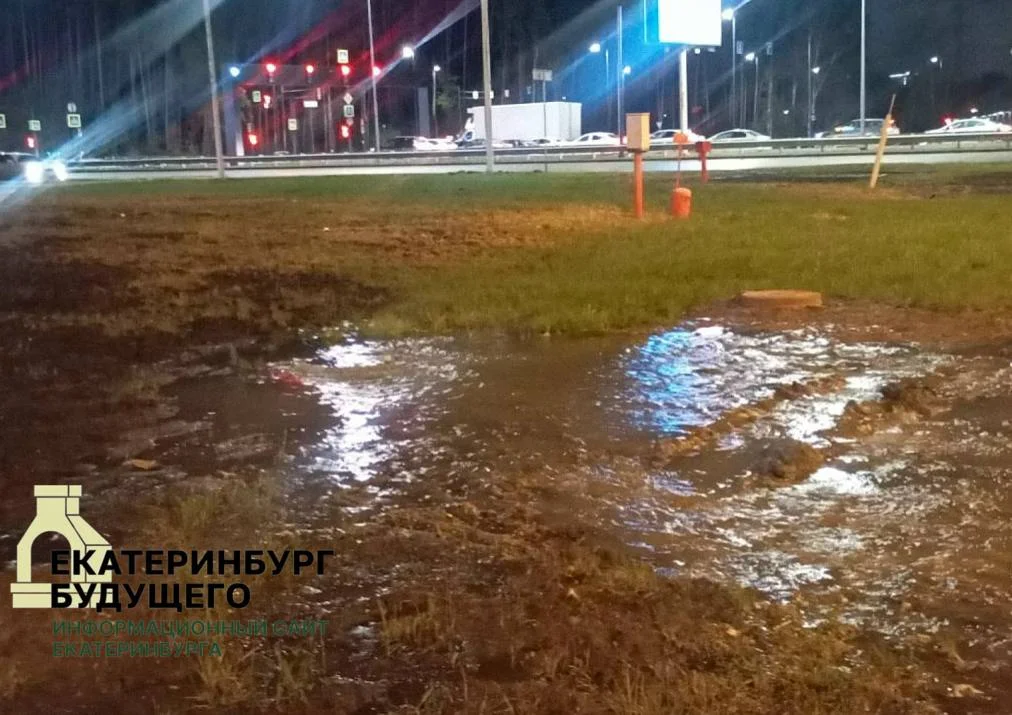 Две&nbsp;недели канализационные стоки топят улицу Муранова 