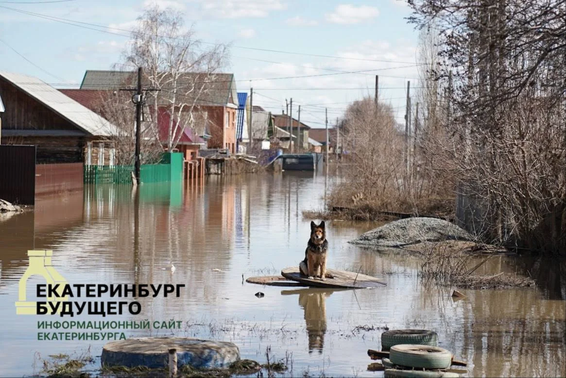 Черновик