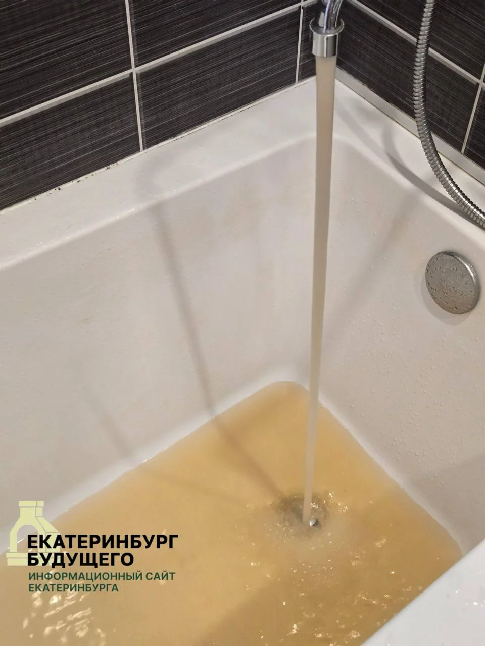 Черновик