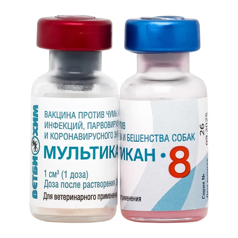 Владельцы собак массово жалуются на&nbsp;вакцинку «Мультикан‑8»