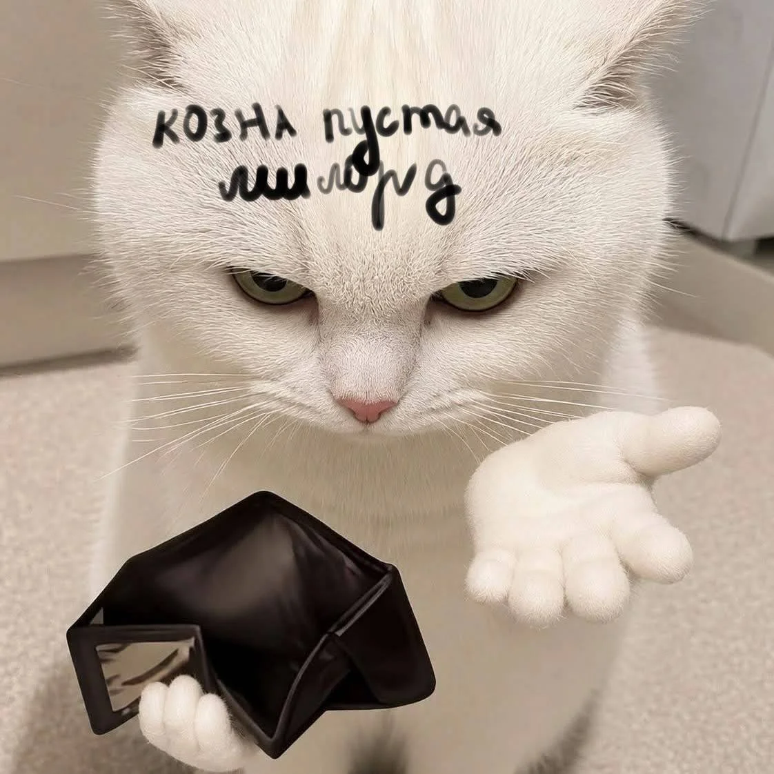 Черновик